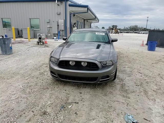2014 Ford Mustang VIN 1ZVBP8CF6E5280310 Copart auction photo, rear end damage thumbnail 13
