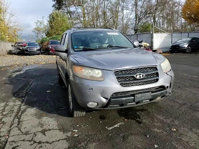 2007 Hyundai Santa Fe VIN 5NMSH73E07H042597 Copart auction photo, front end damage thumbnail 12