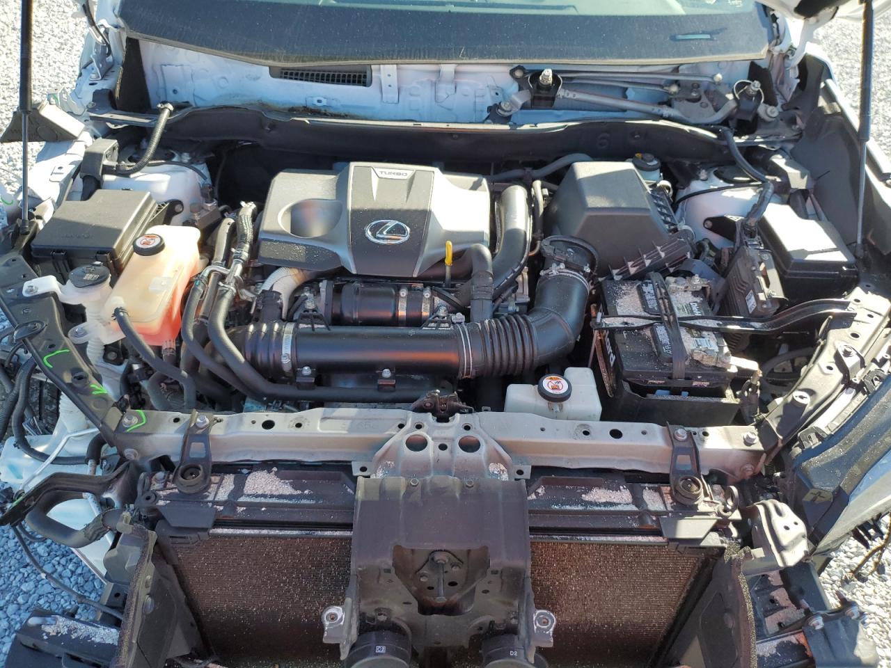 2019 Lexus NX VIN JTJYARBZ0K2145964 Copart auction photo, front end damage thumbnail 12