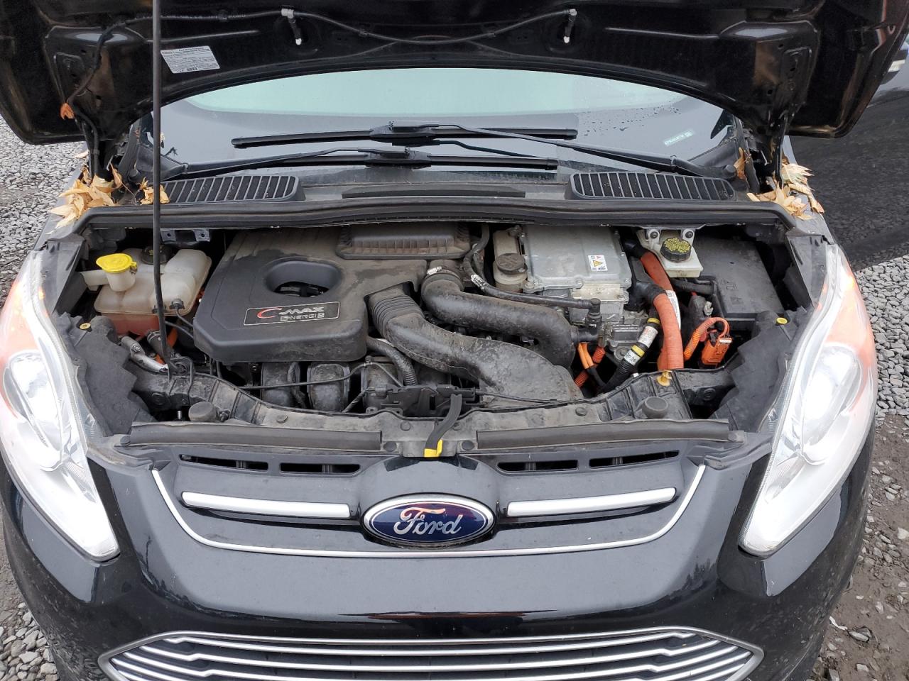2014 Ford C-MAX VIN 1FADP5CU5EL501700 Copart auction photo, rear end damage thumbnail 11