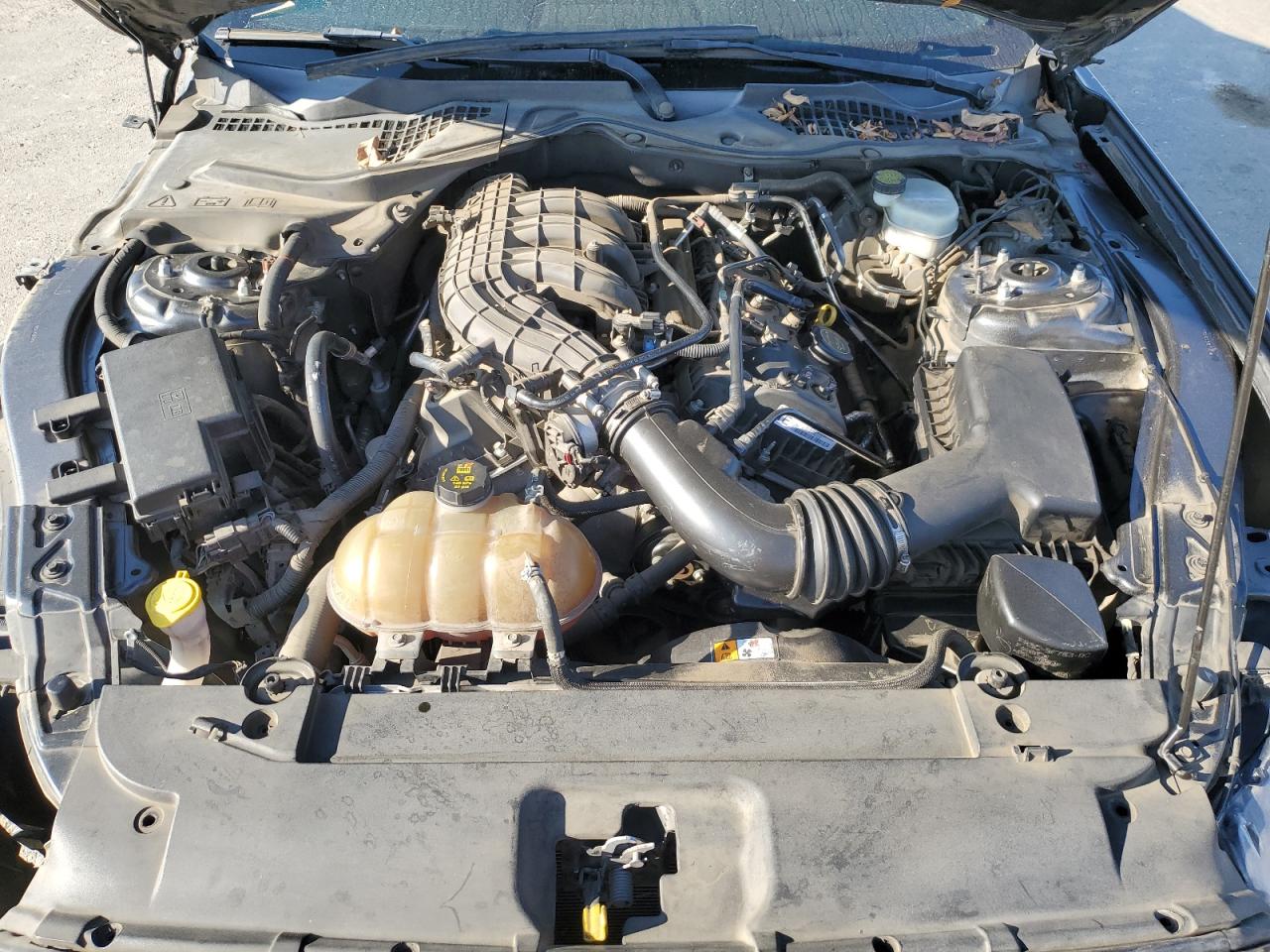 2015 Ford Mustang VIN 1FA6P8AMXF5382299 Copart auction photo, side damage thumbnail 12
