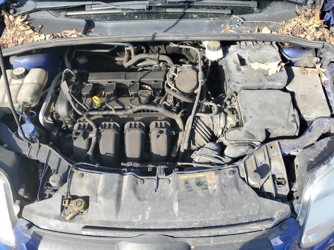 2012 Ford Focus VIN 1FAHP3F24CL224003 Copart auction photo, side damage thumbnail 11