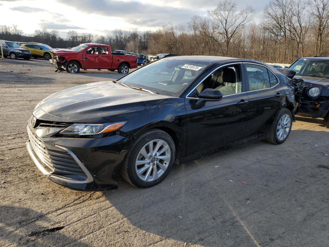 2023 Toyota Camry VIN 4T1C11AK4PU171686