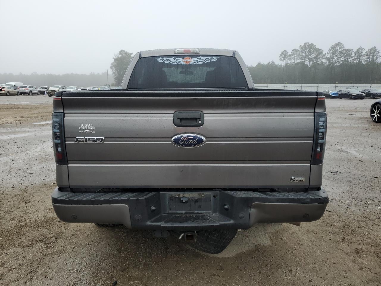 2010 Ford F-150 VIN 1FTFX1EVXAFD38195 Copart auction photo, front end damage thumbnail 6
