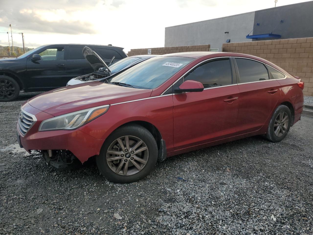 2015 Hyundai Sonata VIN 5NPE24AF8FH175005 - Copart auction photo