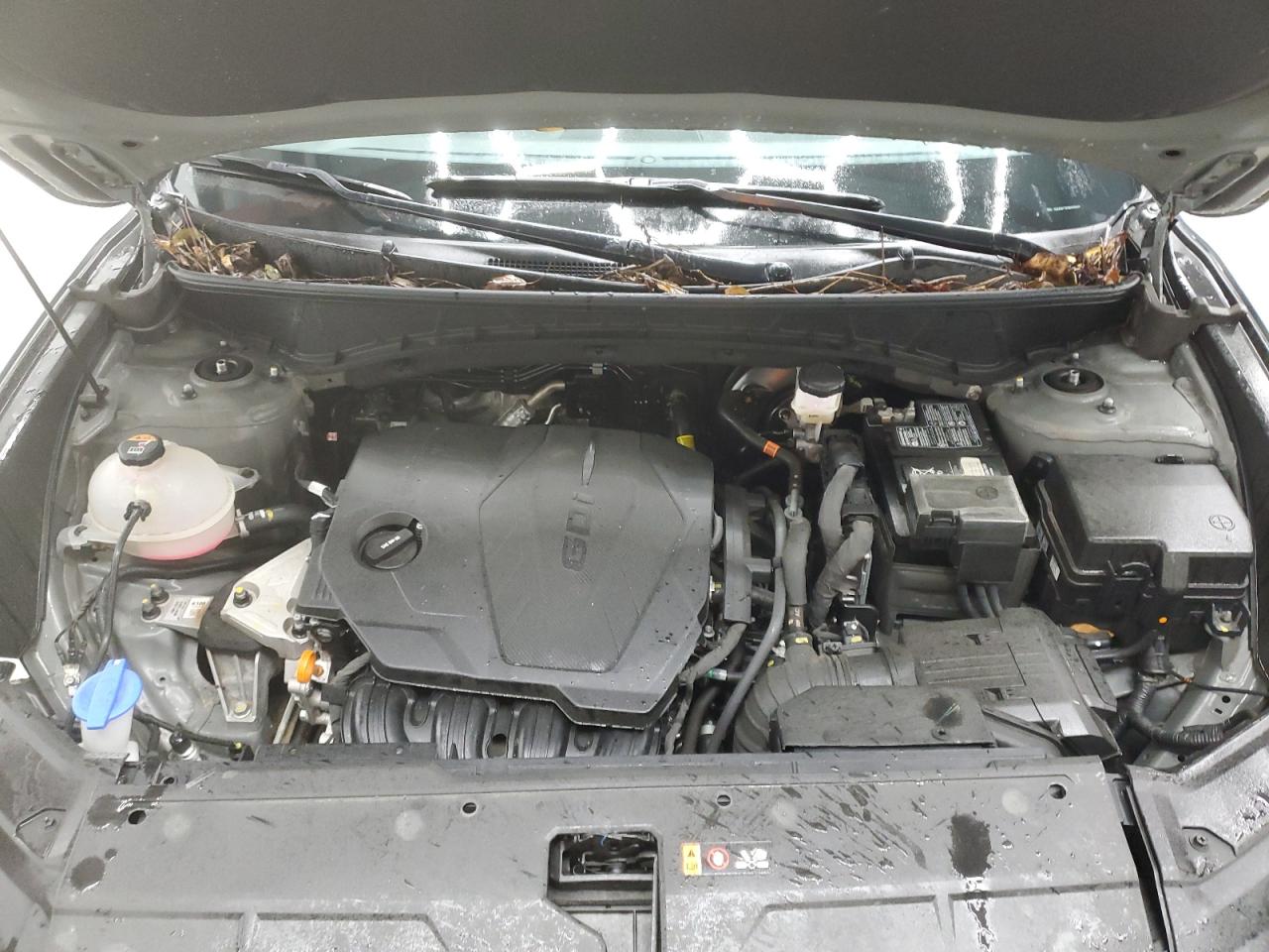 2024 Hyundai Tucson VIN 5NMJBCDE1RH329650 Copart auction photo, front end damage thumbnail 12
