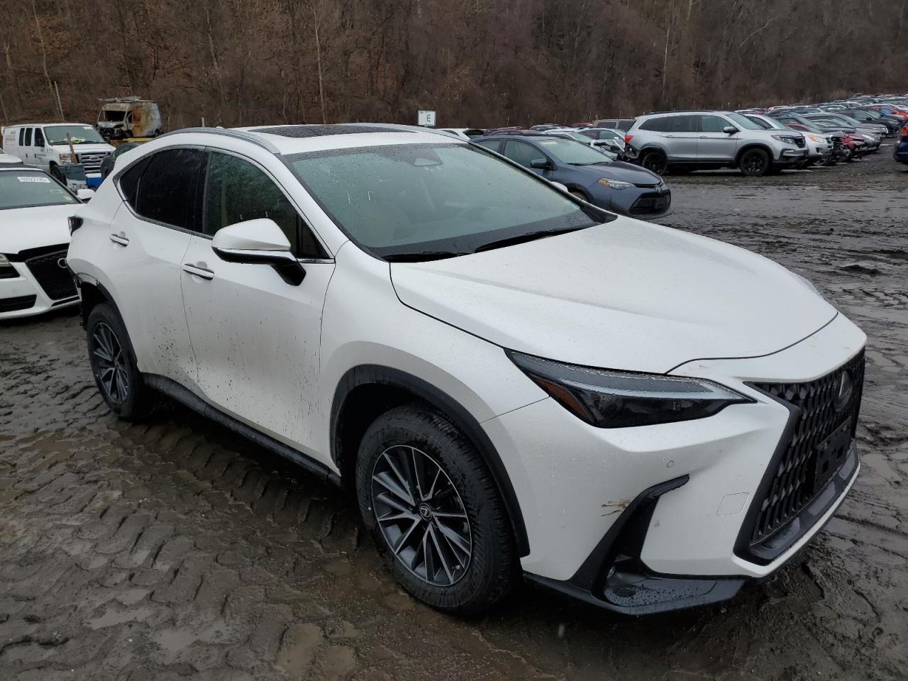 2022 Lexus NX VIN 2T2GGCEZXNC002950 Copart auction photo, rear end / minor dent/scratches damage thumbnail 4