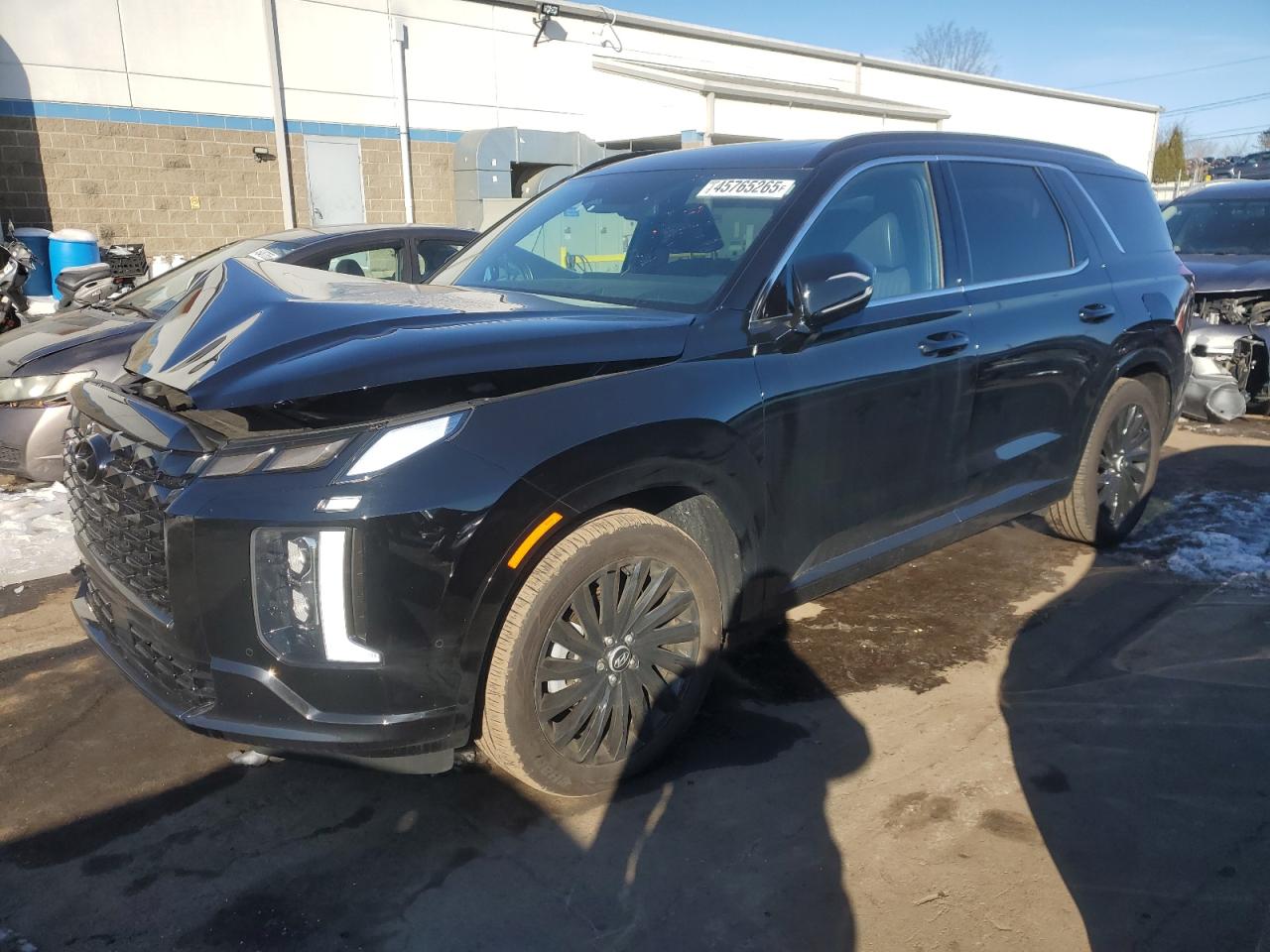 2024 Hyundai Palisade VIN KM8R7DGE9RU736125