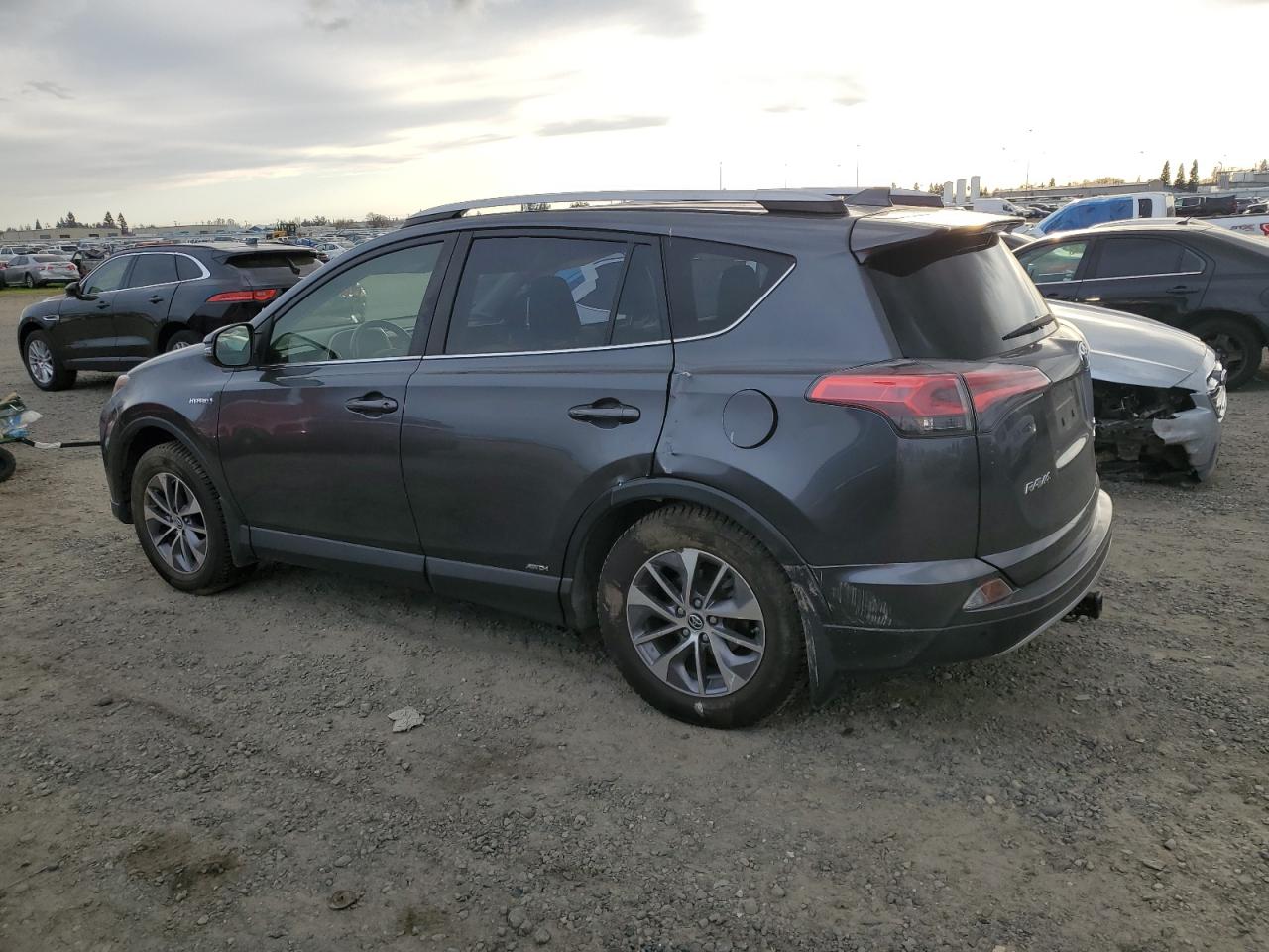 2018 Toyota RAV 4 VIN JTMRJREV5JD244234 Copart auction photo, side damage thumbnail 2