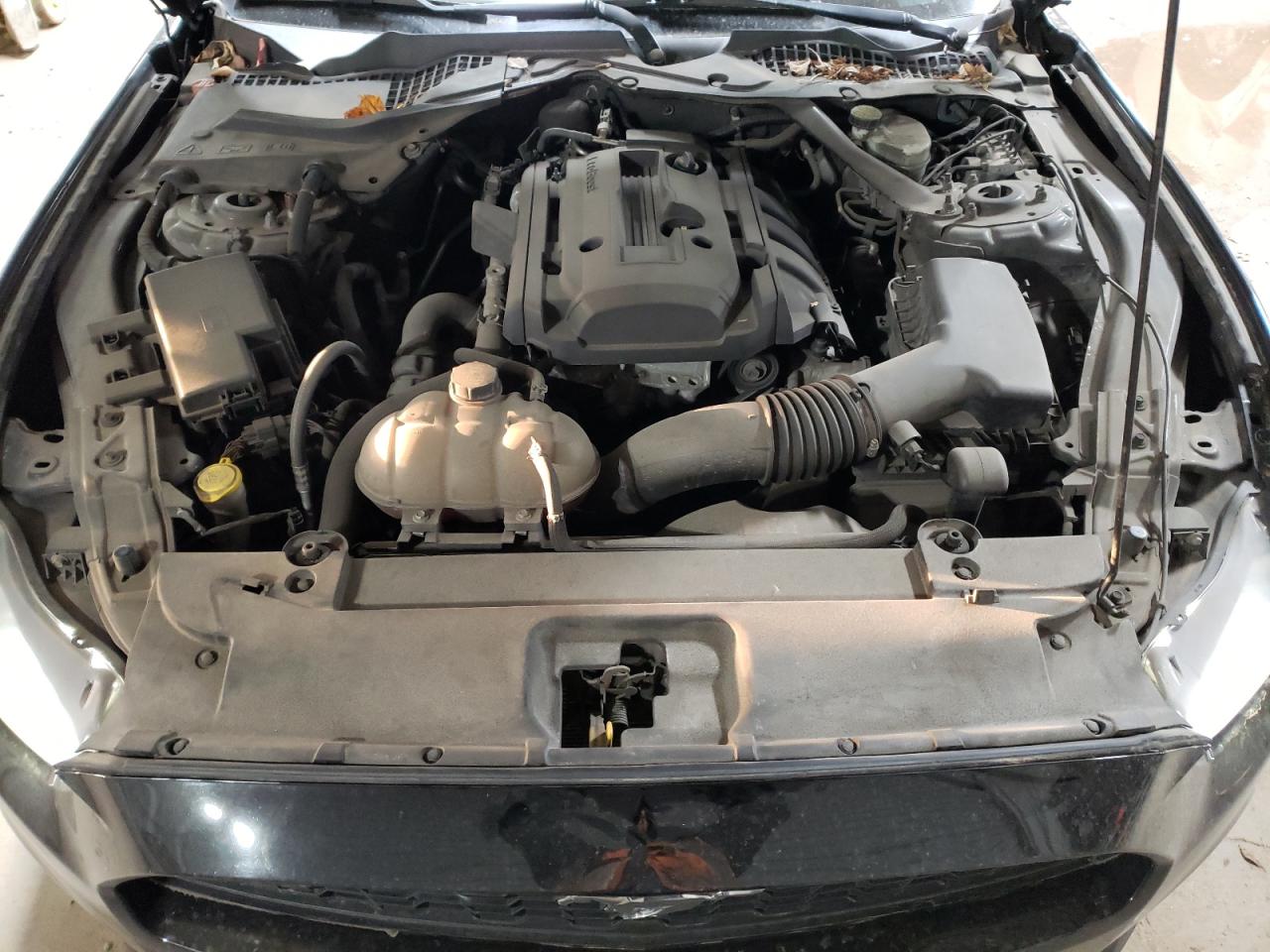2016 Ford Mustang VIN 1FATP8UH2G5222534 Copart auction photo, rear end damage thumbnail 11