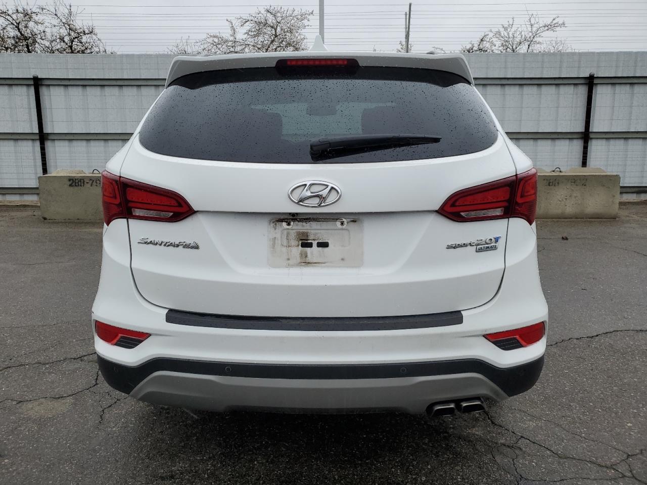2017 Hyundai Santa Fe VIN 5XYZW4LA0HG501512 Copart auction photo, minor dent/scratches damage thumbnail 6