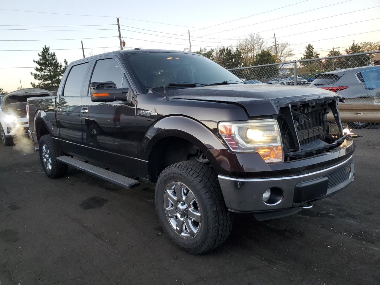 2014 Ford F-150 VIN 1FTFW1ET2EKE55316 Copart auction photo, all over / hail damage thumbnail 4