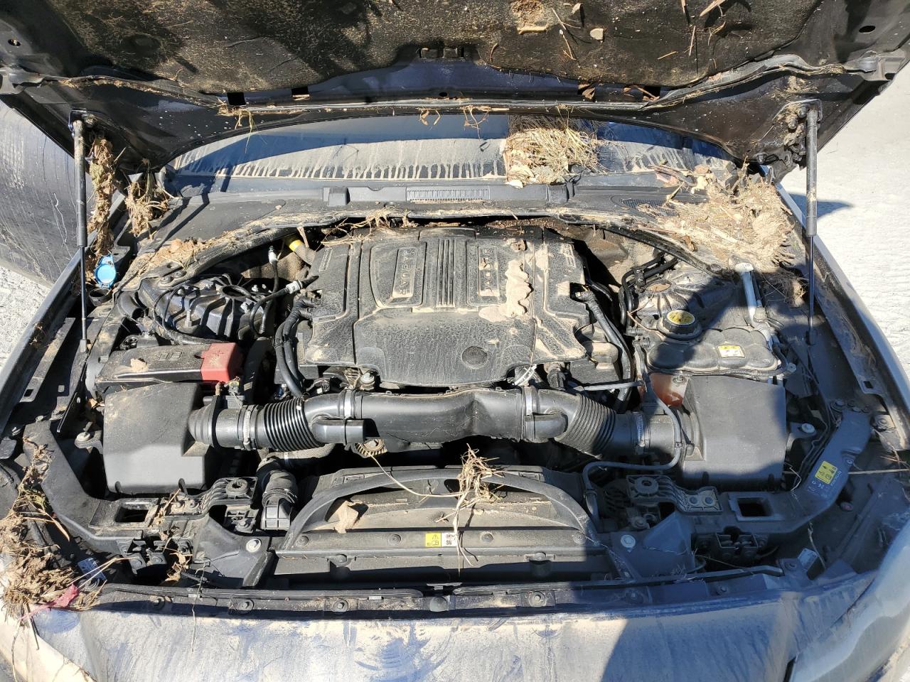 2017 Jaguar XF VIN SAJBE4BV9HCY33365 Copart auction photo, water/flood damage thumbnail 11