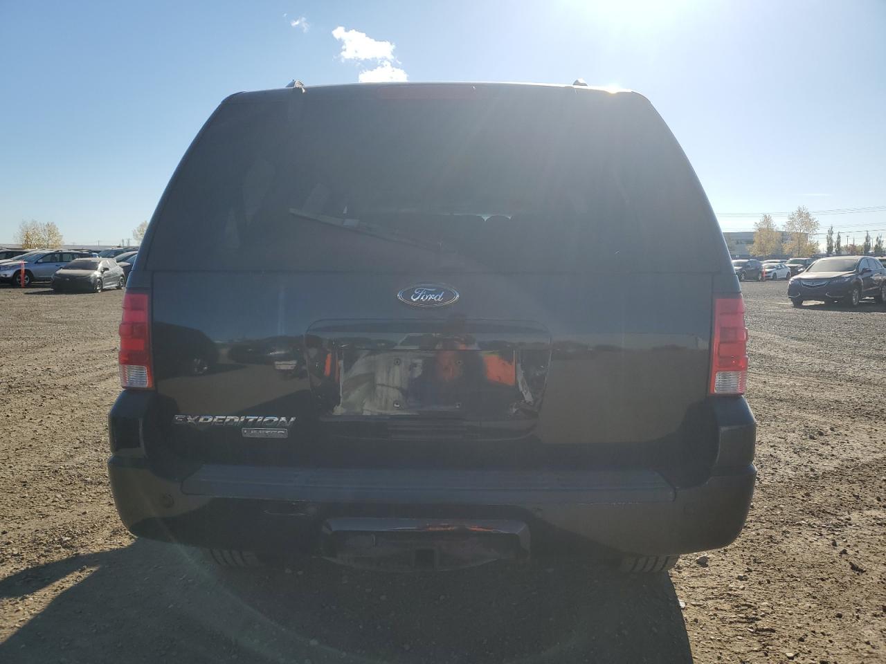 2005 Ford Expedition VIN 1FMFU20555LA70844 Copart auction photo, hail / minor dent/scratches damage thumbnail 6