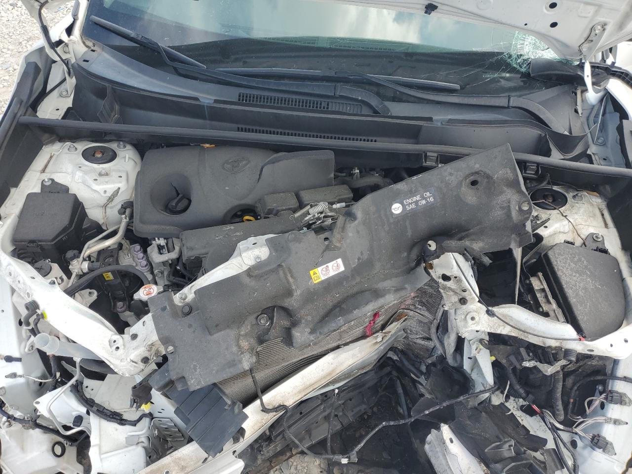 2019 Toyota RAV 4 VIN JTMW1RFV4KD040706 Copart auction photo, front end / side damage thumbnail 13