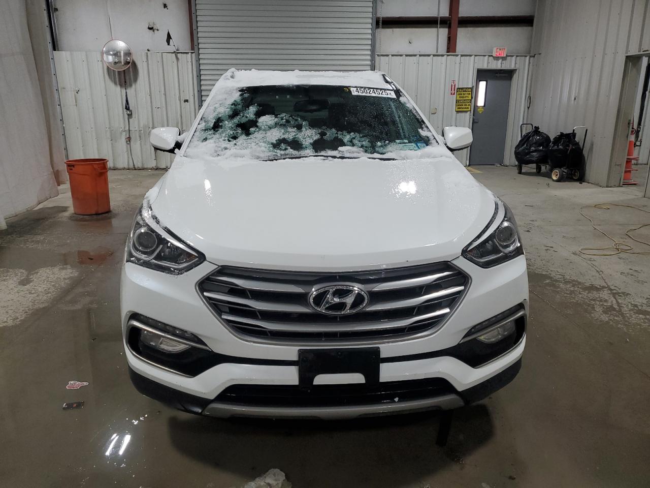 2017 Hyundai Santa Fe VIN 5NMZUDLB9HH034496 Copart auction photo, rear end damage thumbnail 5