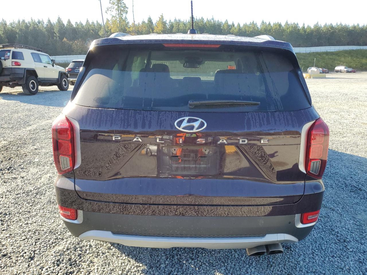 2020 Hyundai Palisade VIN KM8R44HE5LU105631 Copart auction photo, all over damage thumbnail 6