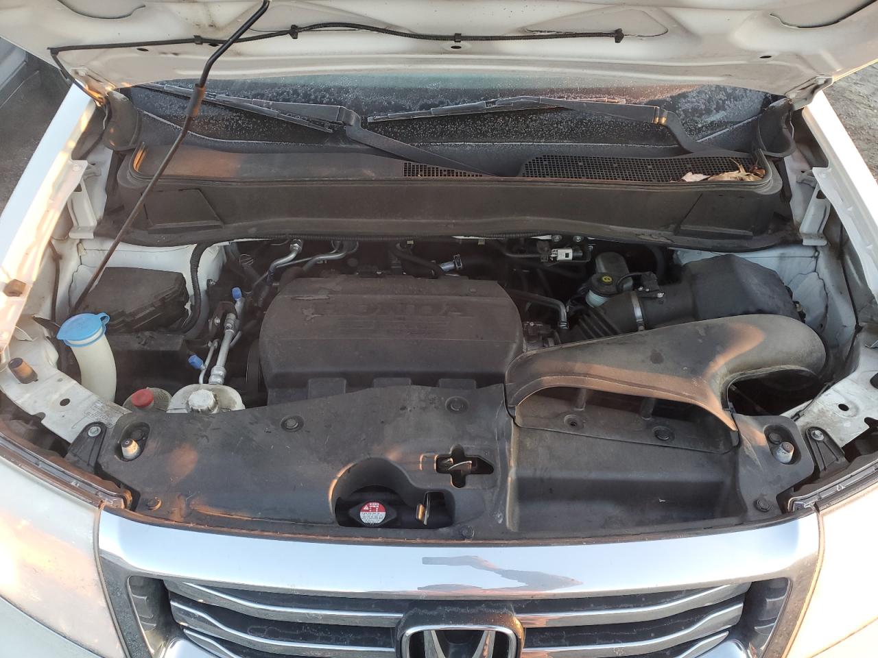 2015 Honda Pilot VIN 5FNYF3H9XFB019333 Copart auction photo, side damage thumbnail 12
