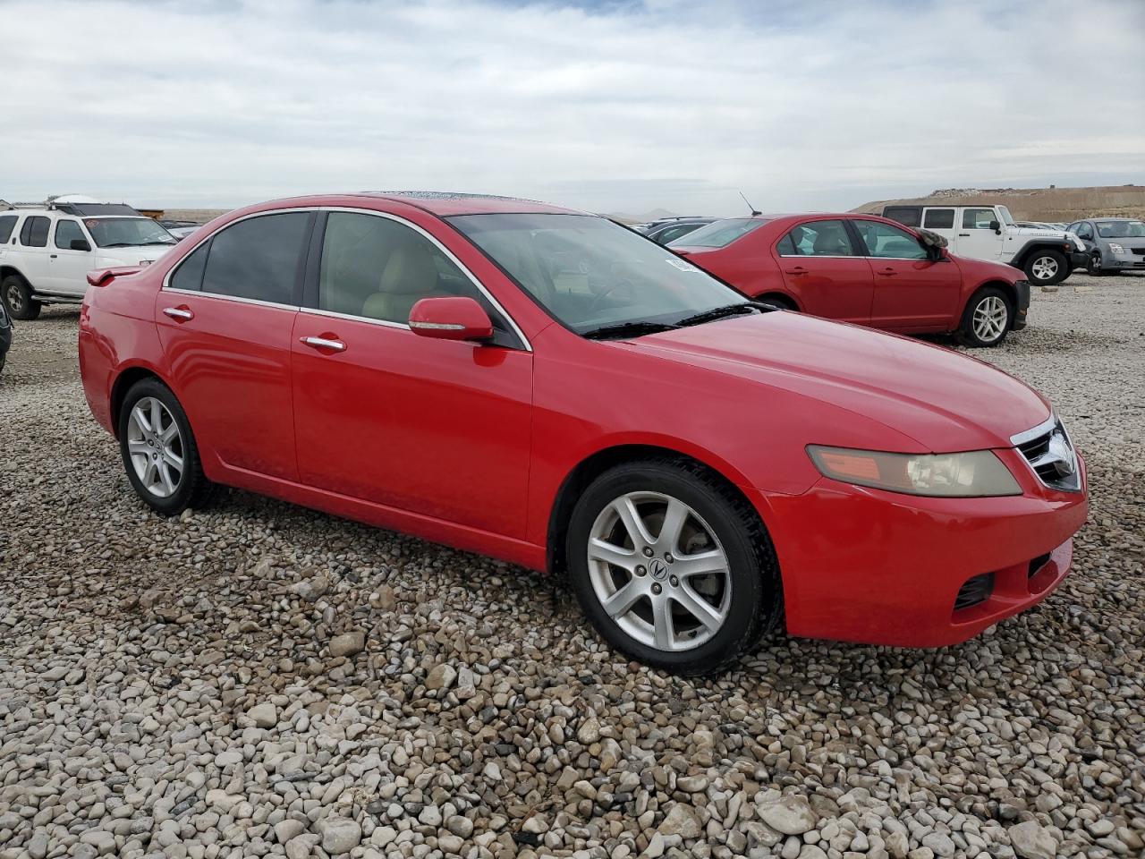 2005 Acura TSX VIN JH4CL96835C035691 Copart auction photo, side damage thumbnail 4