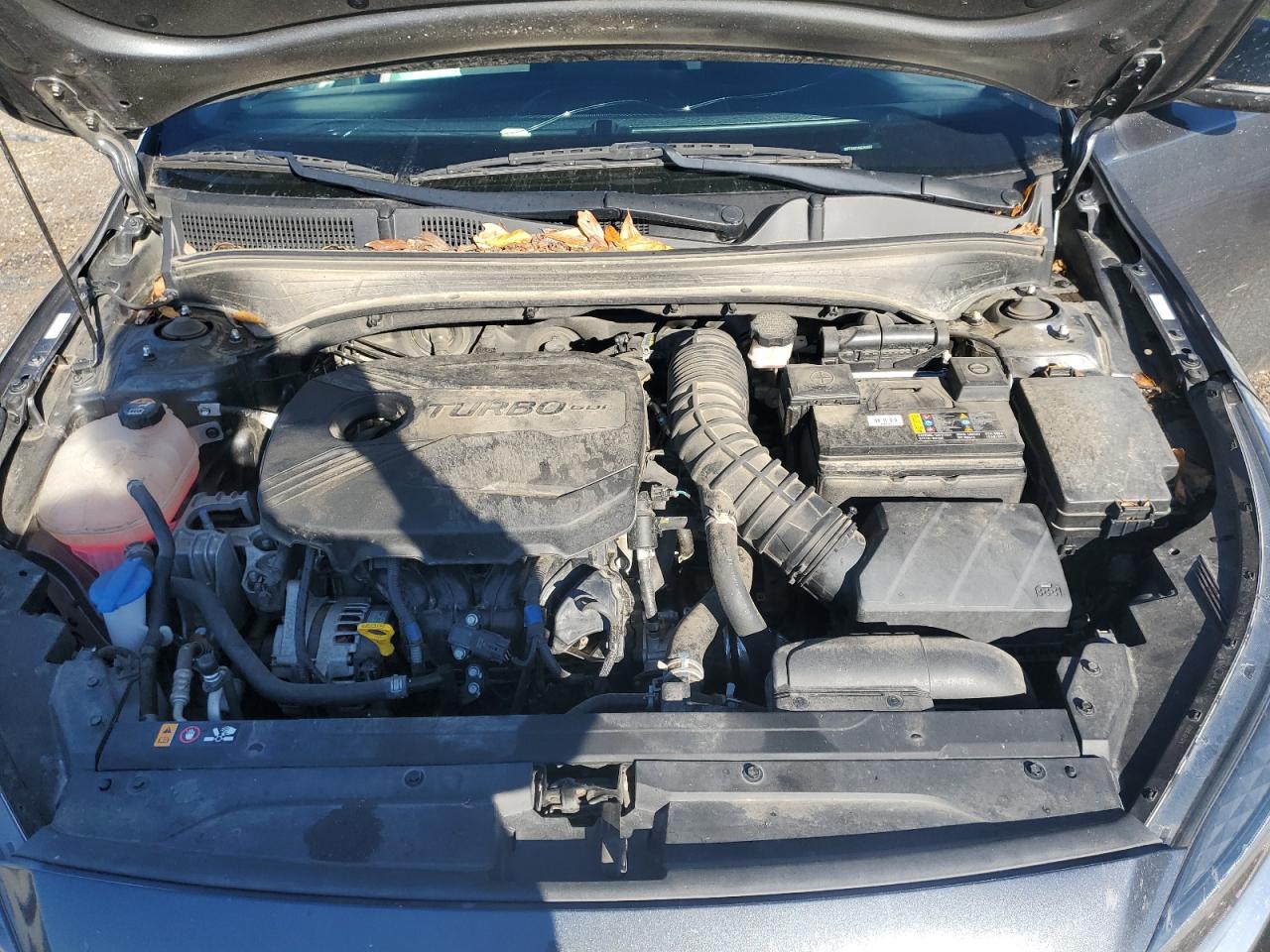 2022 KIA Forte VIN 3KPF44AC4NE460887 Copart auction photo, side damage thumbnail 13