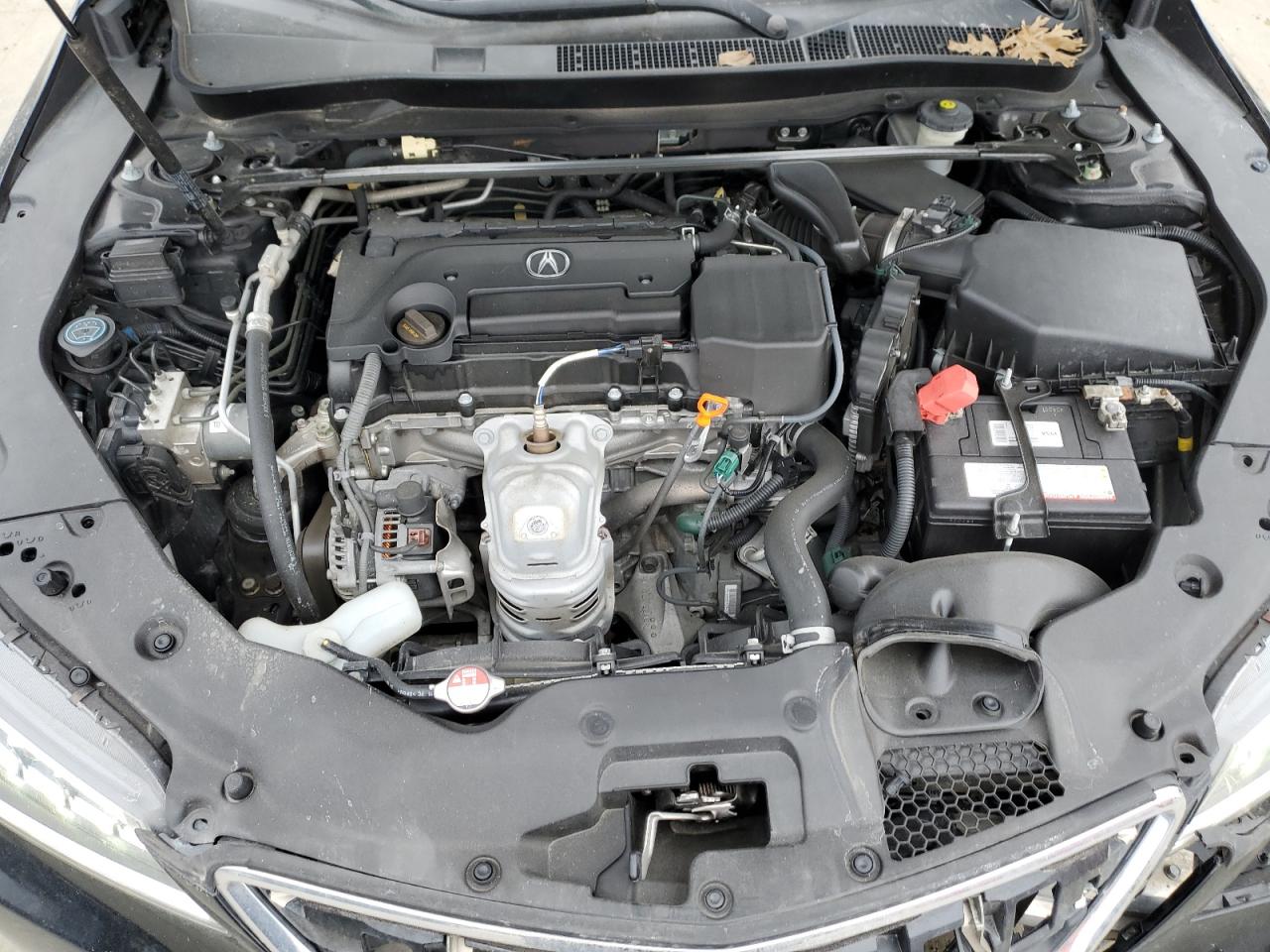 2016 Acura TLX VIN 19UUB1F54GA013635 Copart auction photo, front end / rear end damage thumbnail 12