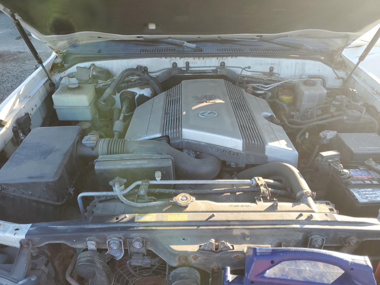 1999 Lexus LX VIN JT6HT00WXX0056382 Copart auction photo, minor dent/scratches damage thumbnail 12