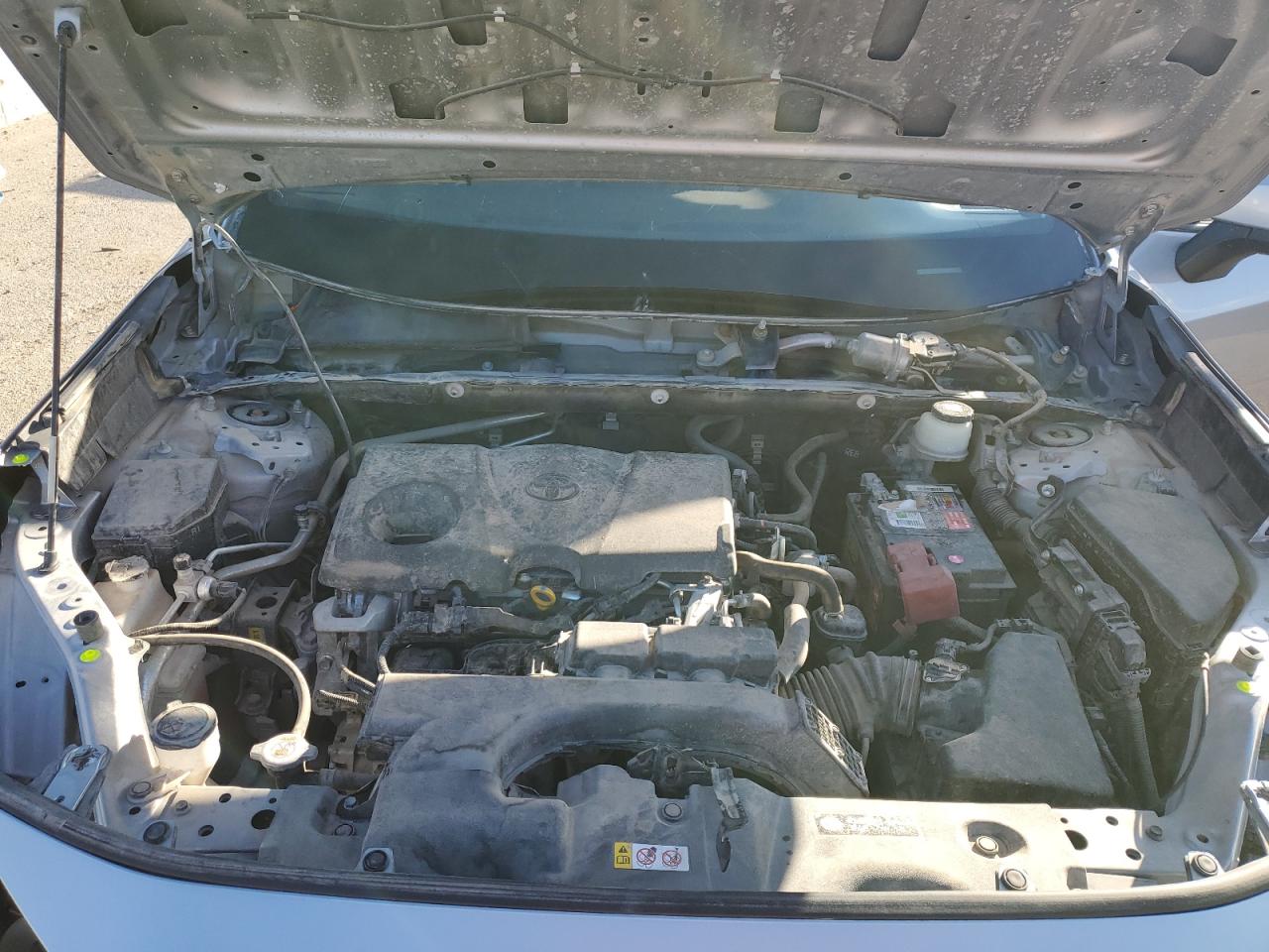 2019 Toyota RAV 4 VIN JTMC1RFV0KD500821 Copart auction photo, hail / front end damage thumbnail 12
