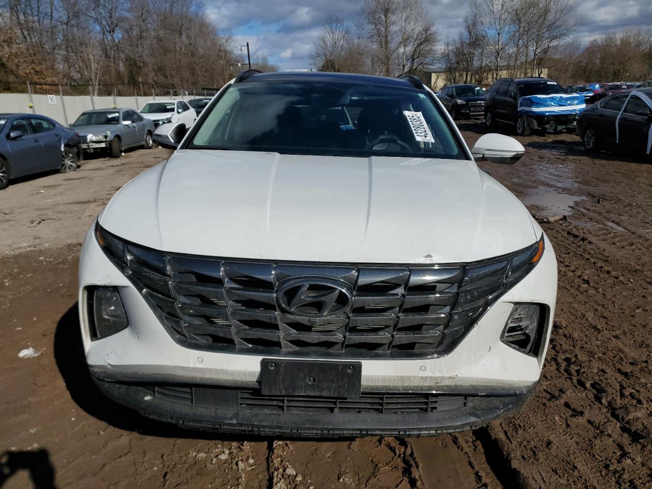2024 Hyundai Tucson VIN 5NMJECDE0RH417094 Copart auction photo, side / rear end damage thumbnail 5