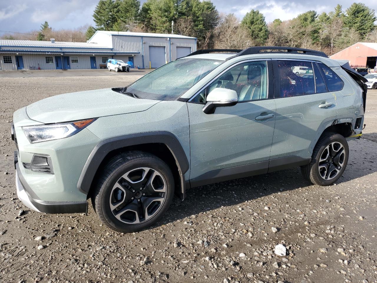 2019 Toyota RAV 4 VIN 2T3J1RFV8KW004370