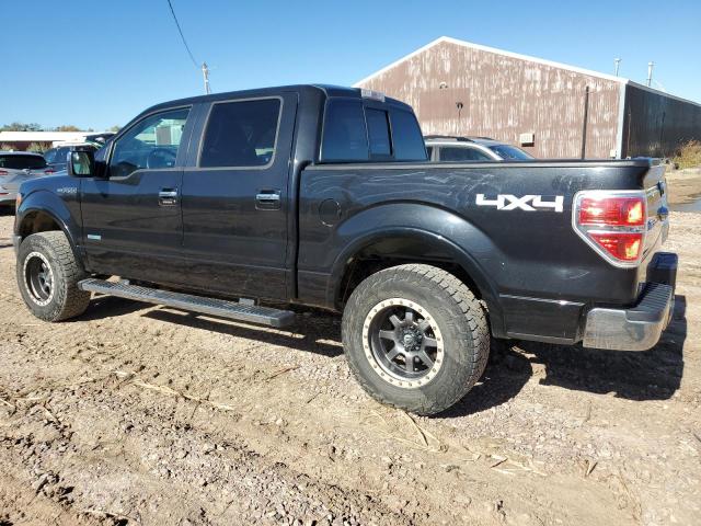 2013 Ford F-150 VIN 1FTFW1ET0DKG49924 Copart auction photo, hail damage thumbnail 2