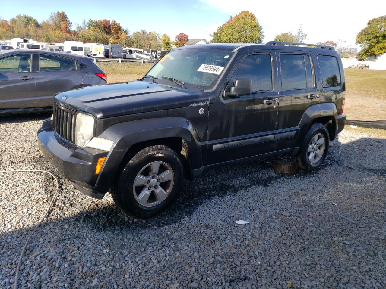 2010 Jeep Liberty (North America) VIN 1J4PN2GK3AW135453