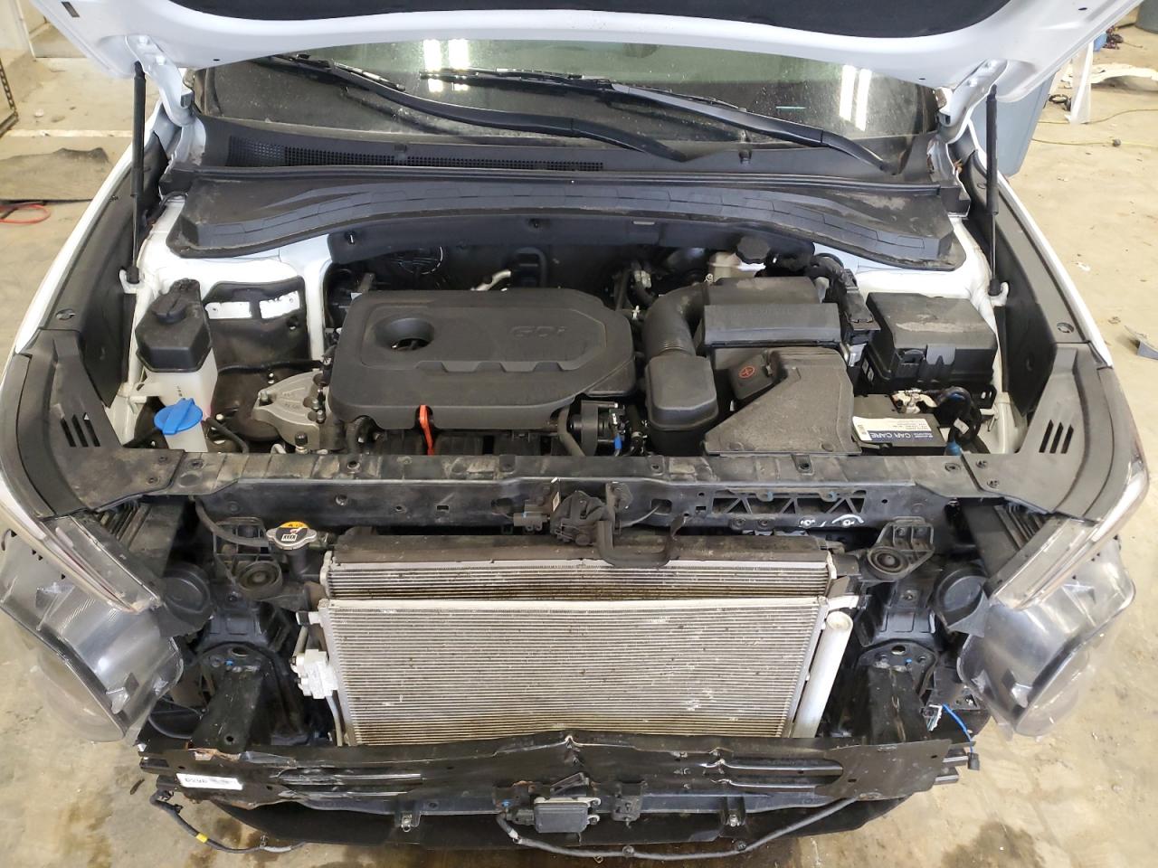 2020 Hyundai Santa Fe VIN 5NMS3CAD8LH303972 Copart auction photo, all over damage thumbnail 11