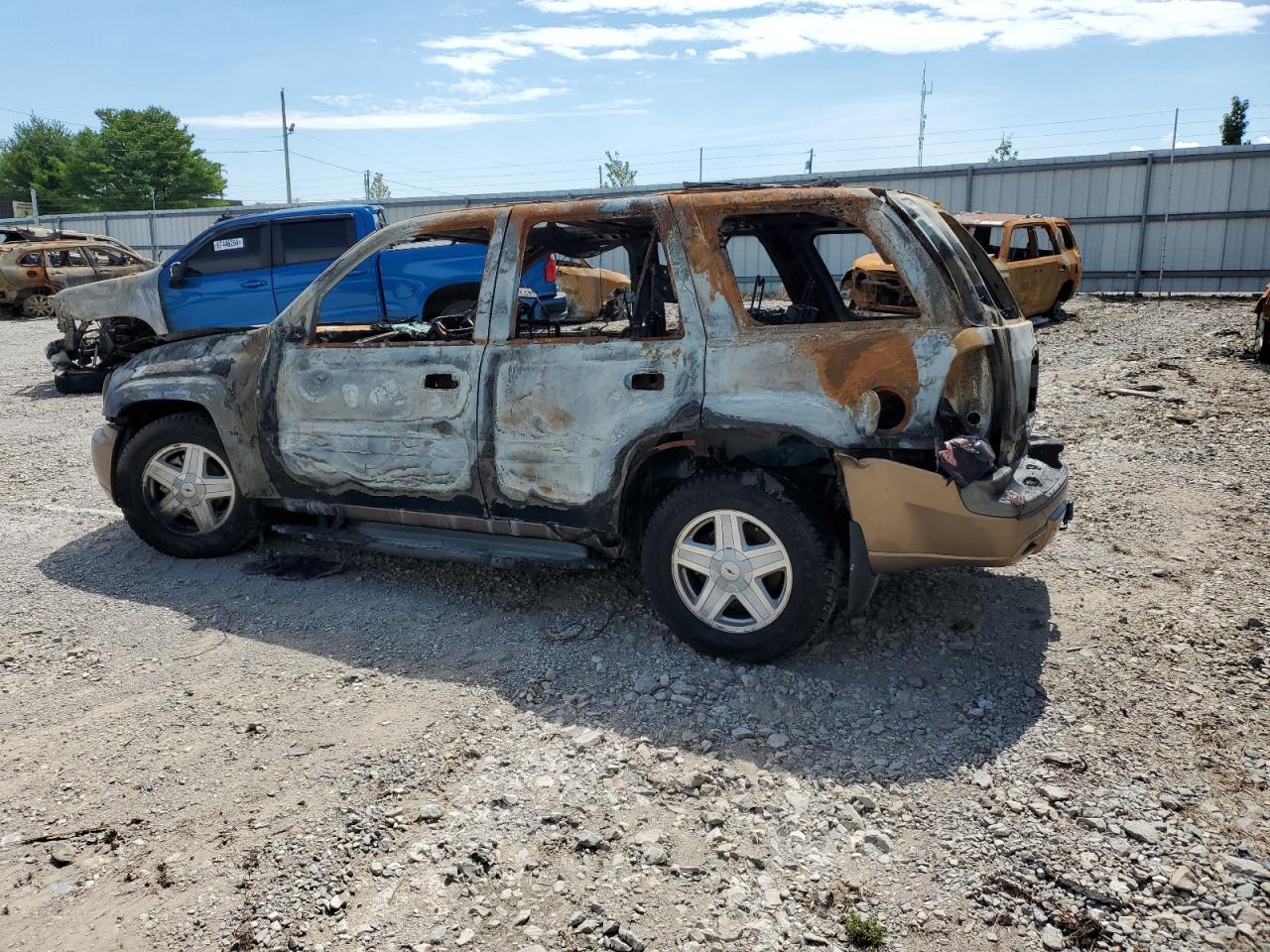 2002 Chevrolet TrailBlazer VIN 1GNDT13S122230852 Copart auction photo, burn damage thumbnail 2