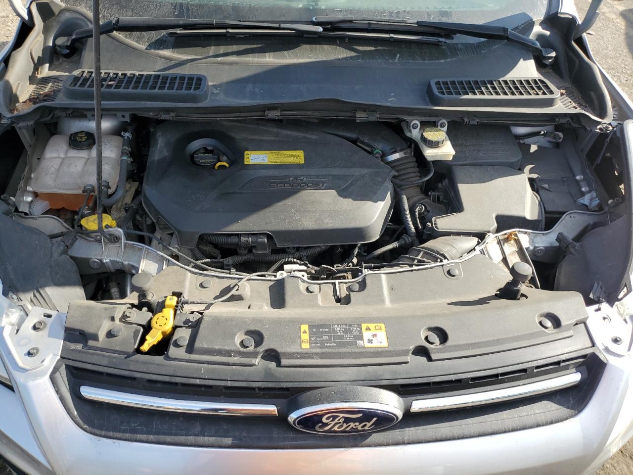 2014 Ford Escape VIN 1FMCU0GX8EUC82078 Copart auction photo, side damage thumbnail 14
