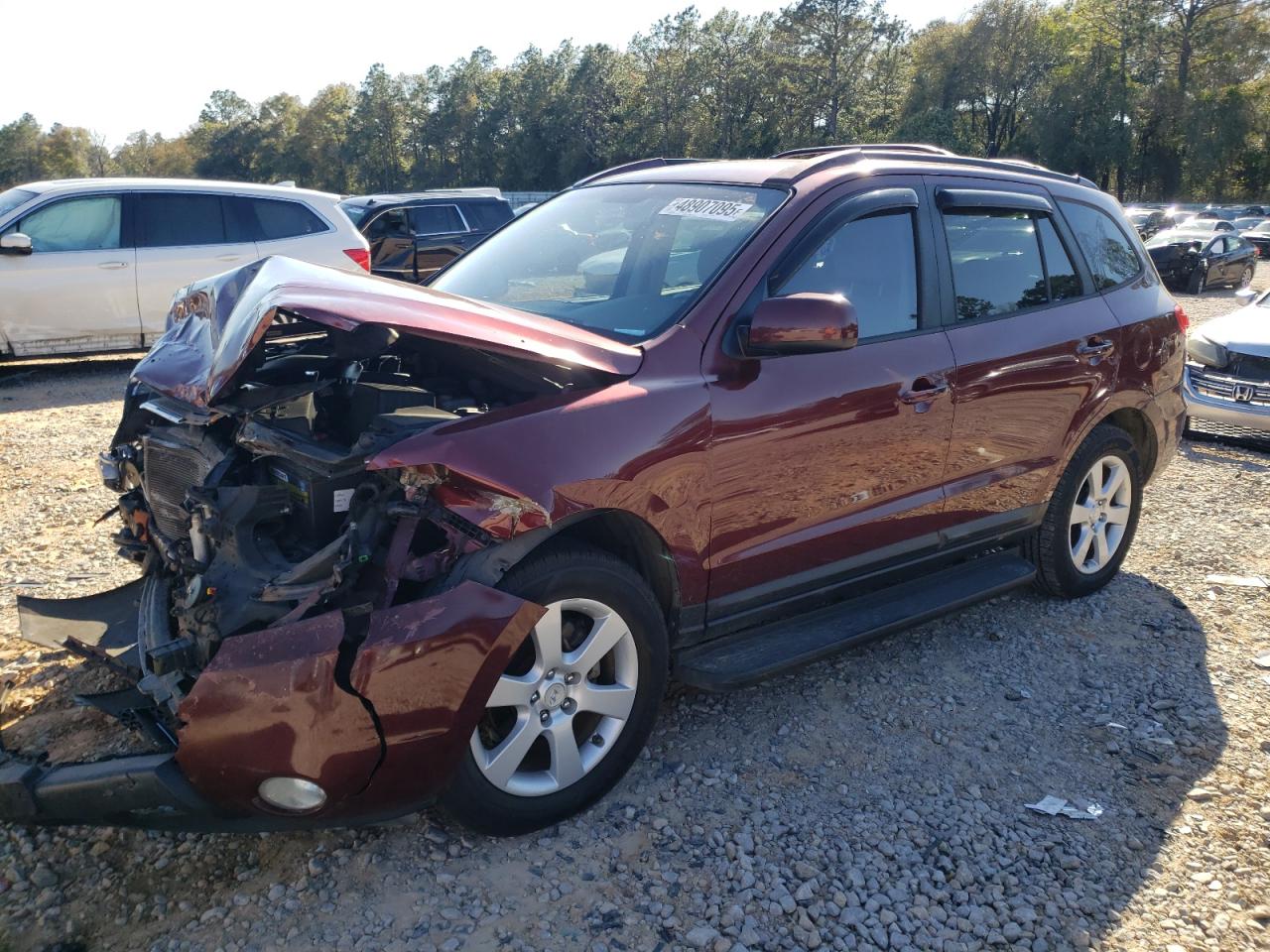 2009 Hyundai Santa Fe VIN 5NMSH13E59H257117