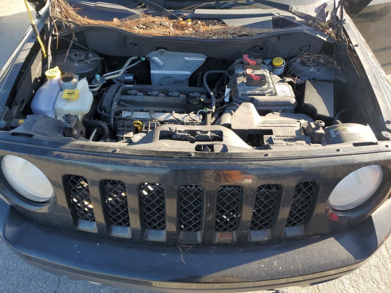 2014 Jeep Liberty (Patriot) VIN 1C4NJPBA9ED753091 Copart auction photo, side damage thumbnail 12