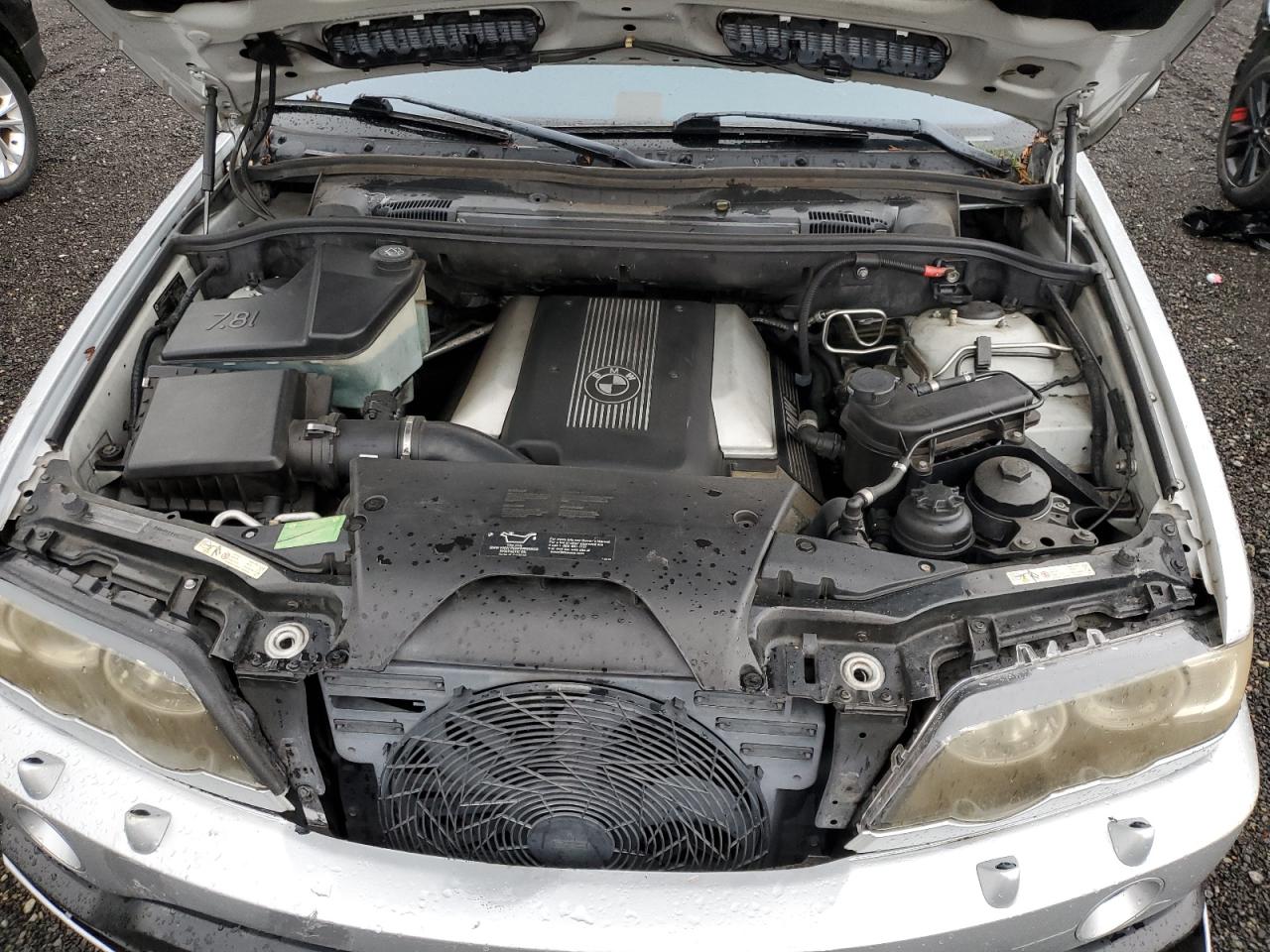 2002 BMW X5 VIN 5UXFB93512LN78866 Copart auction photo, vandalism damage thumbnail 12
