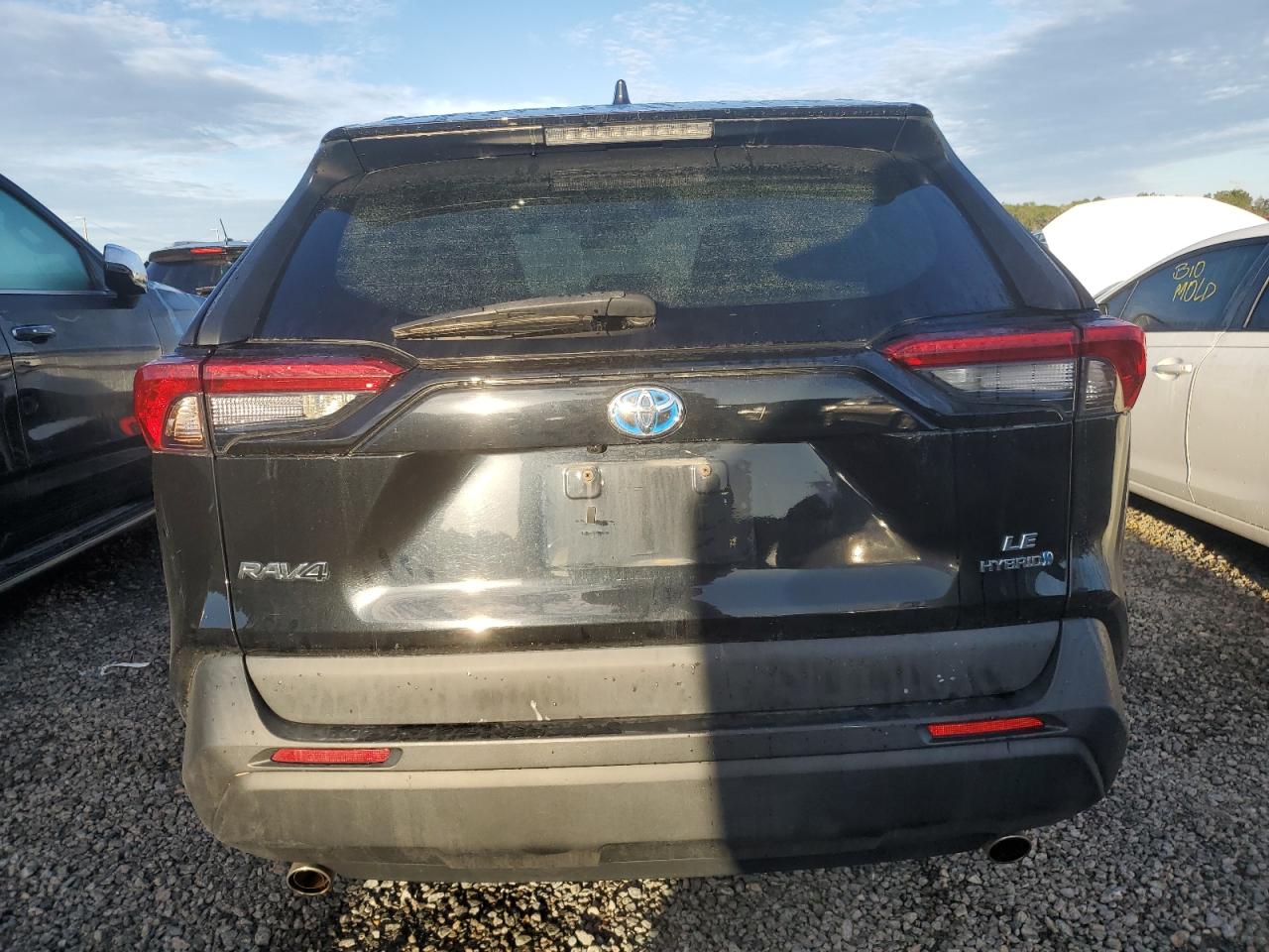 2019 Toyota RAV 4 VIN 2T3MWRFV0KW007004 Copart auction photo, water/flood / minor dent/scratches damage thumbnail 6