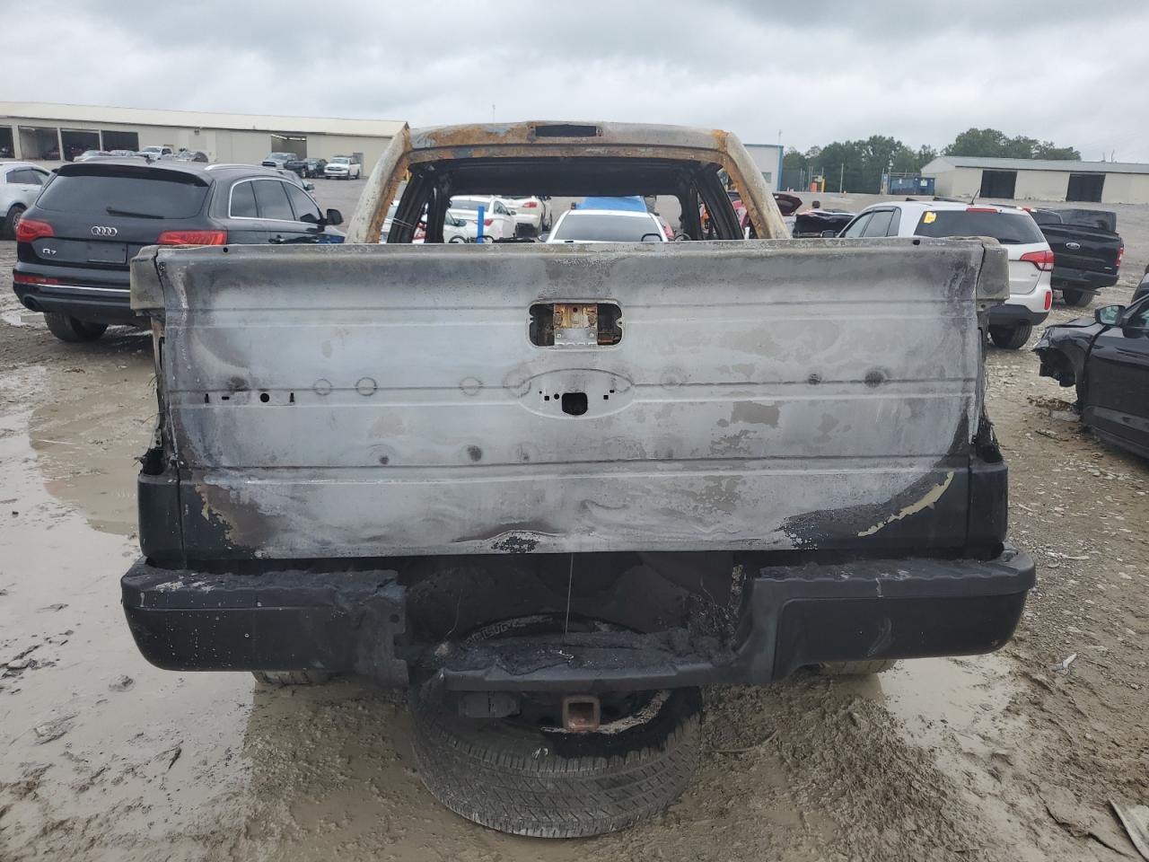 2010 Ford F-150 VIN 1FTEW1C81AKE53593 Copart auction photo, burn damage thumbnail 6