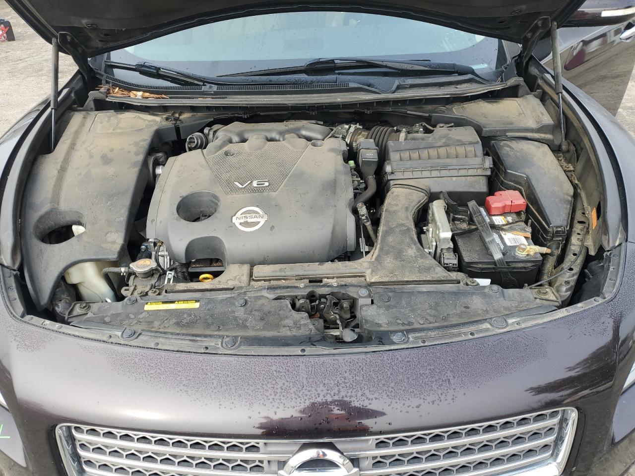 2010 Nissan Maxima VIN 1N4AA5AP7AC835805 Copart auction photo, front end damage thumbnail 11
