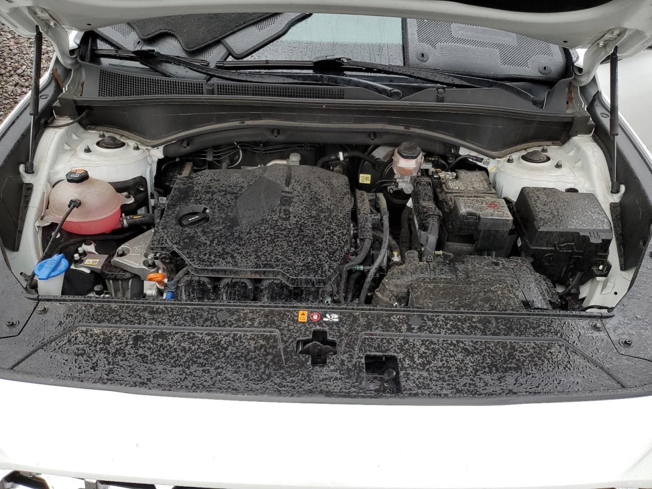 2022 Hyundai Santa Fe VIN 5NMS24AJ4NH435094 Copart auction photo, side damage thumbnail 12