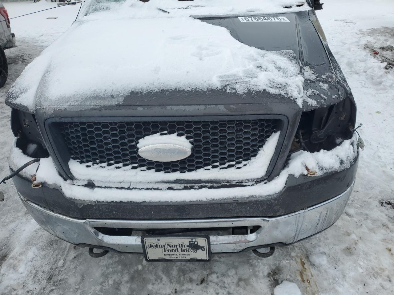 2006 Ford F-150 VIN 1FTPX145X6FA10028 Copart auction photo, all over damage thumbnail 12