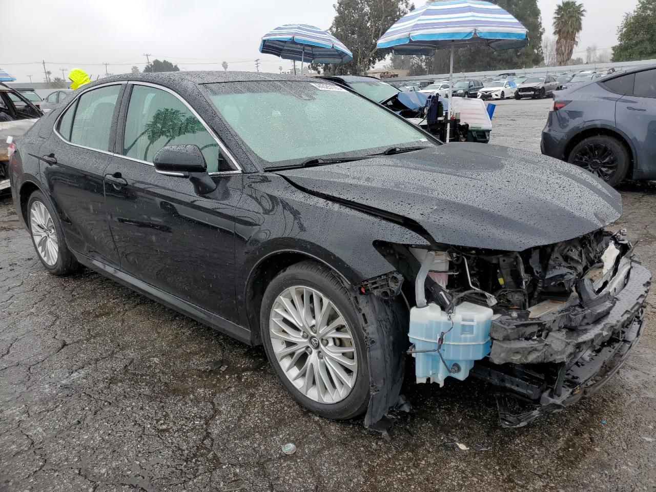 2019 Toyota Camry VIN 4T1B11HK8KU770147 Copart auction photo, front end / minor dent/scratches damage thumbnail 4