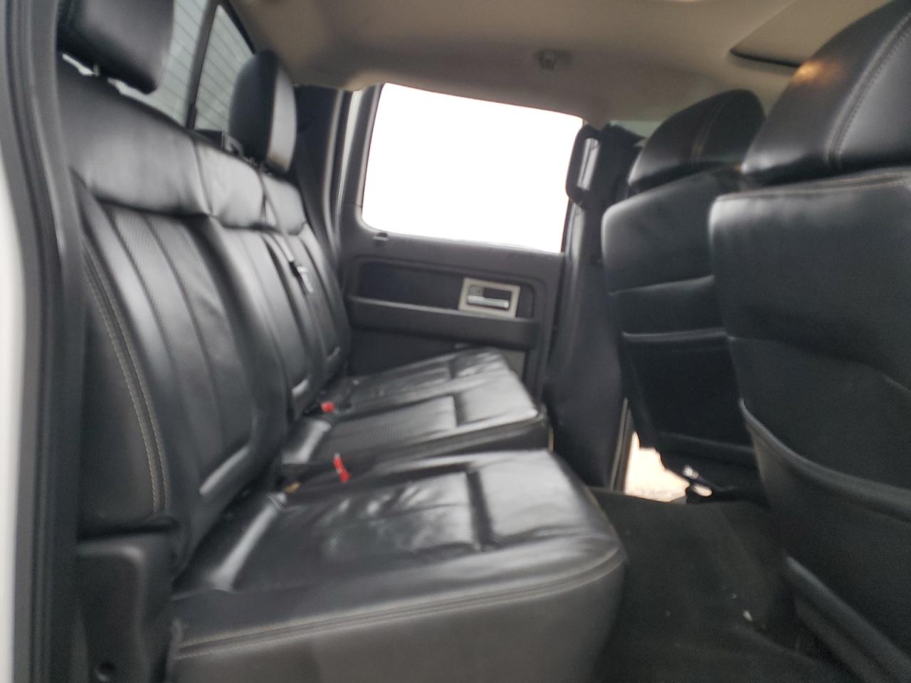 2010 Ford F-150 VIN 1FTFW1EV6AKE58456 Copart auction photo, side damage thumbnail 11