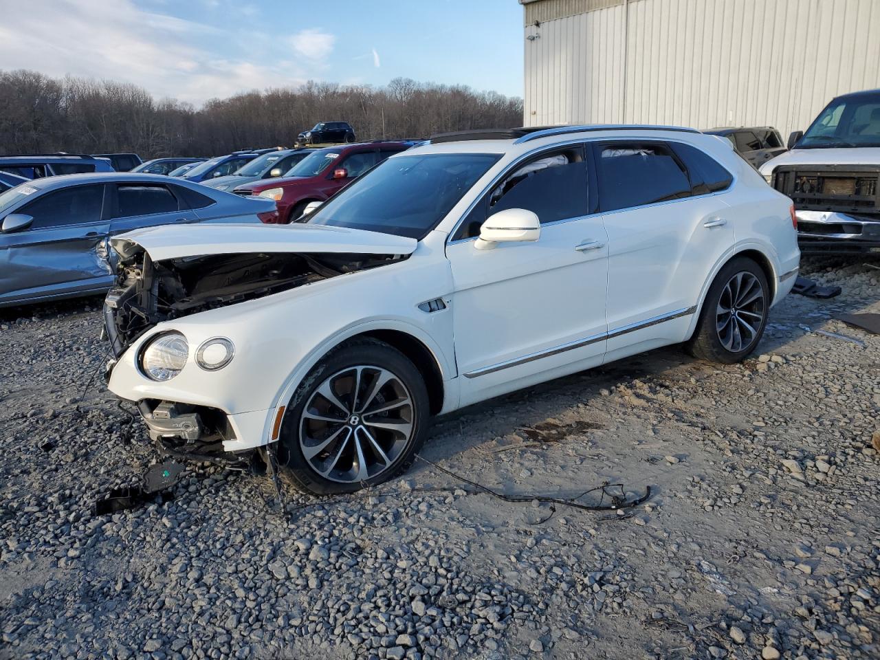 2020 Bentley Bentayga VIN SJAAM2ZV2LC028213 - Copart auction photo