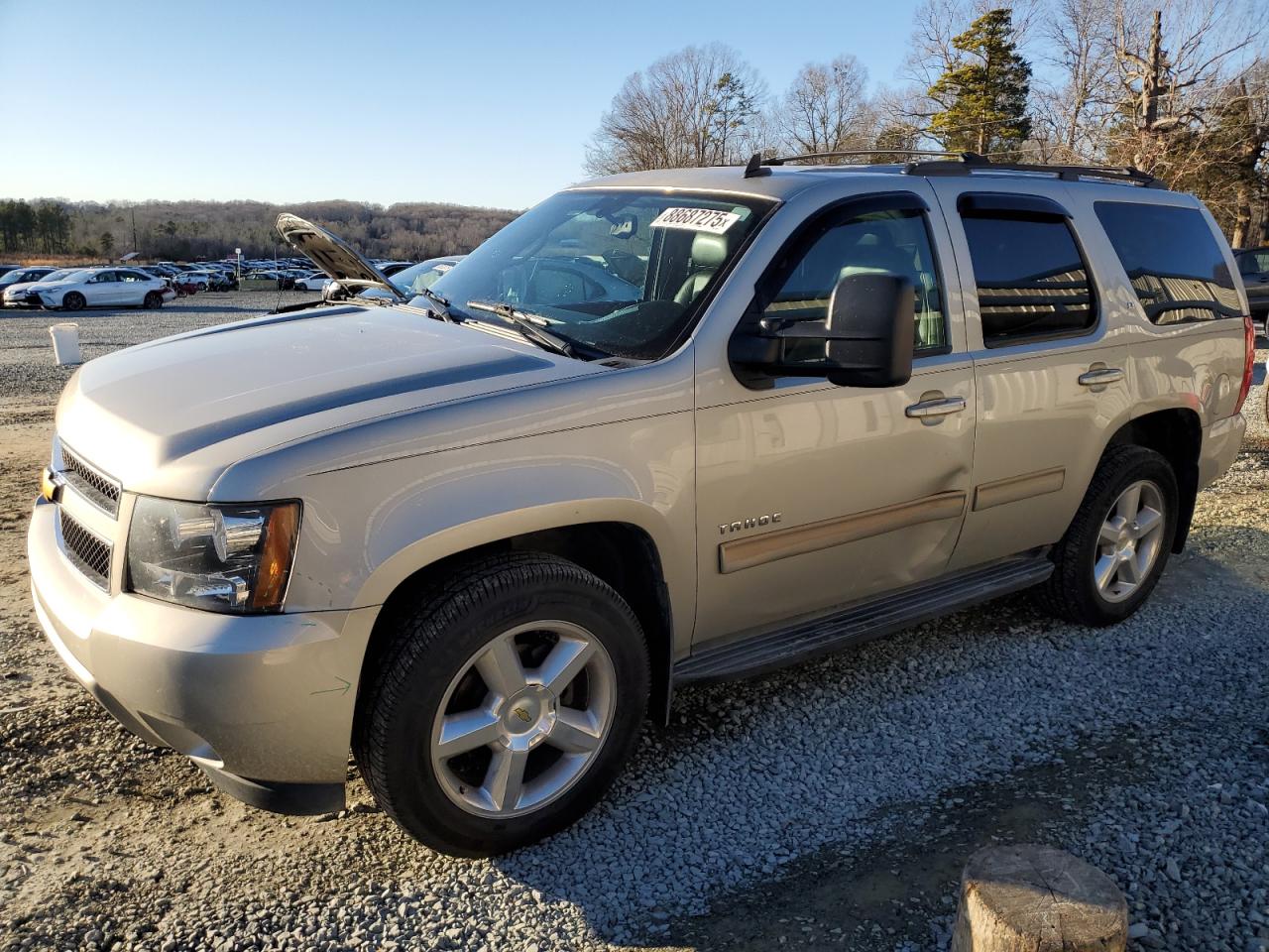 2014 Chevrolet Tahoe VIN 1GNSKBE03ER168961
