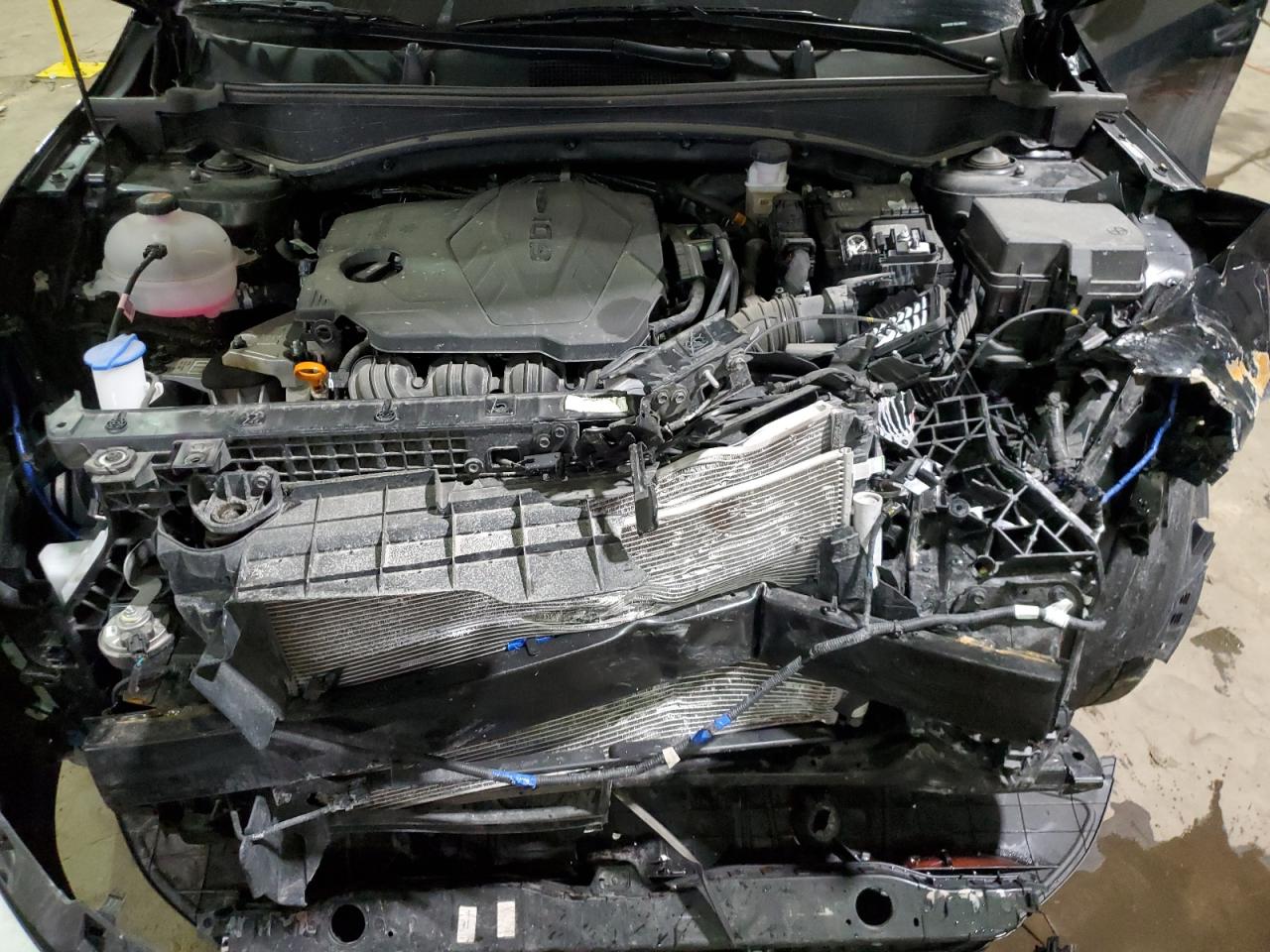 2024 KIA Sportage VIN 5XYK3CDF2RG188902 Copart auction photo, front end / side damage thumbnail 12