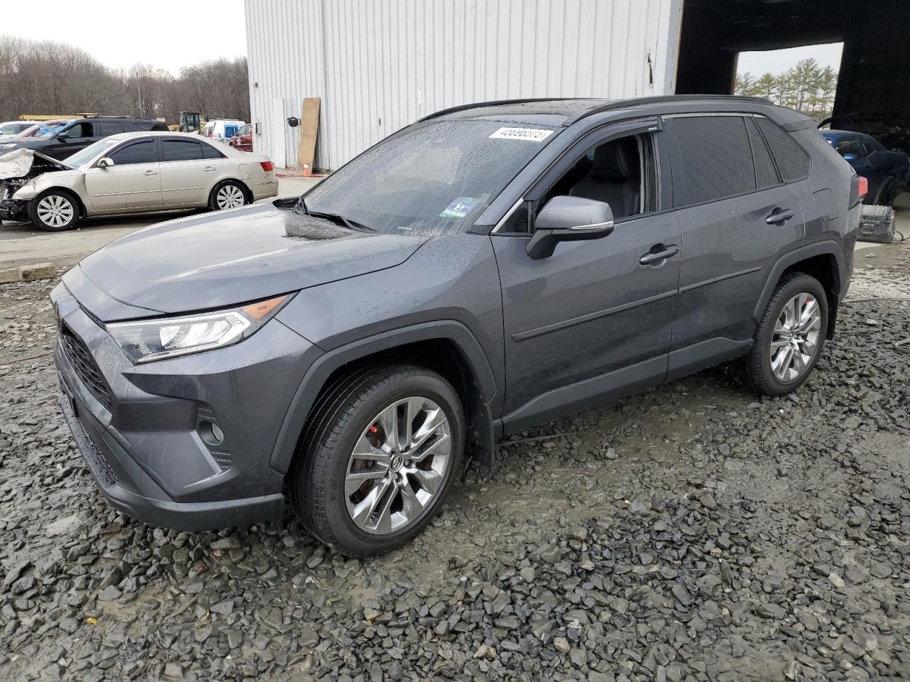 2019 Toyota RAV 4 VIN JTMA1RFV8KD510259