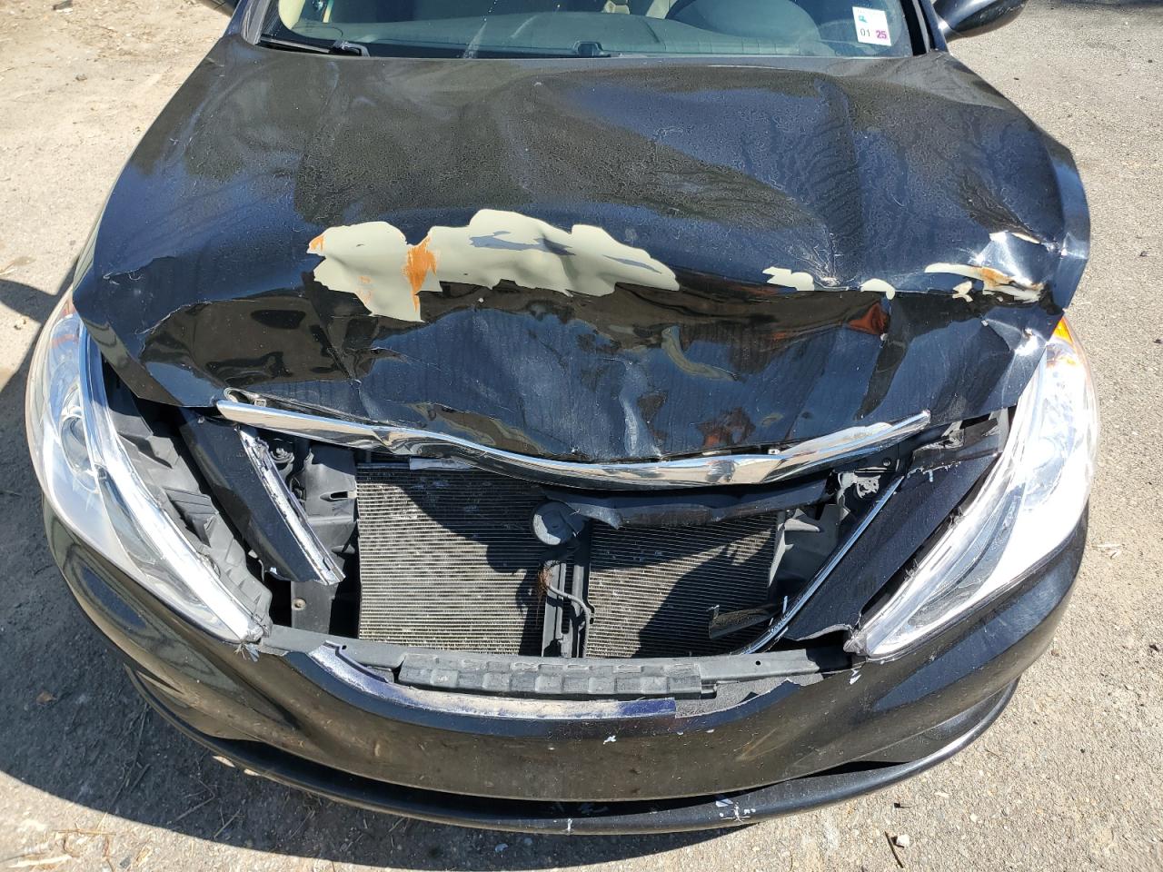 2013 Hyundai Sonata VIN 5NPEB4AC3DH679562 Copart auction photo, front end / minor dent/scratches damage thumbnail 11