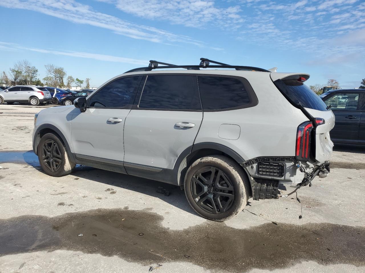 2023 KIA Telluride VIN 5XYP5DGC5PG327702 Copart auction photo, rear end damage thumbnail 2